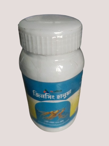 ZINSENG HALUA (200GM)